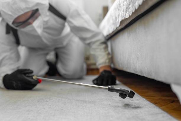 Professional Ant Control technician working in Crystal Lakes, OH