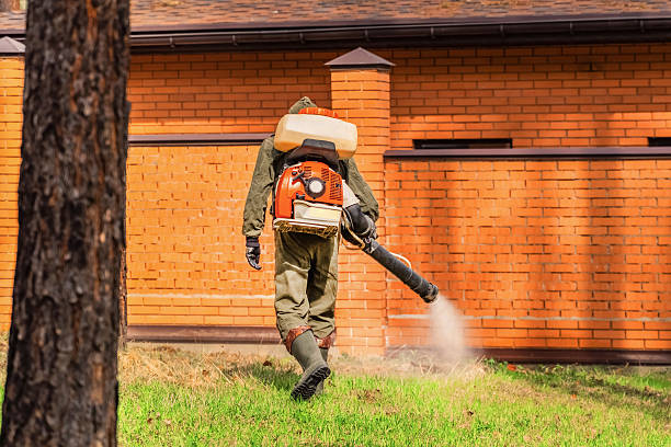 Trusted Mosquito Control service in Crystal Lakes, OH - Nex Pest Control